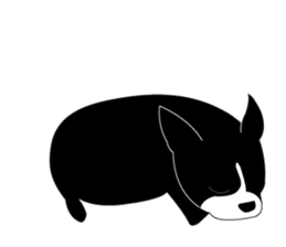 Boston Terrier sticker #1059149