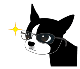 Boston Terrier sticker #1059151
