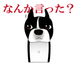 Boston Terrier sticker #1059152