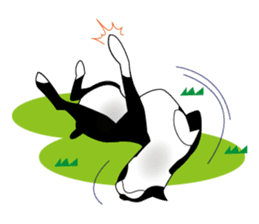 Boston Terrier sticker #1059156