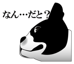 Boston Terrier sticker #1059160