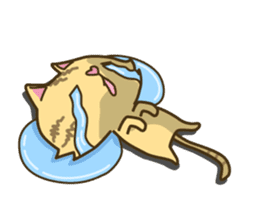 Tabby cat sticker -English- sticker #1059181