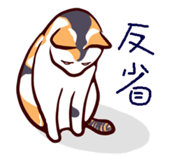 Tortoiseshell cat MII sticker #1062695