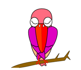 Island bird ruddy Kingfisher, KIRORON sticker #1063216