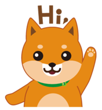 Shiba Inu "Musashi"(English) sticker #1065266