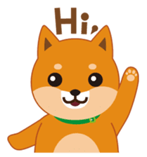 Shiba Inu "Musashi"(English) sticker #1065266