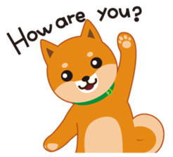 Shiba Inu "Musashi"(English) sticker #1065267