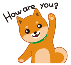 Shiba Inu "Musashi"(English) sticker #1065267