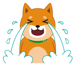 Shiba Inu "Musashi"(English) sticker #1065271