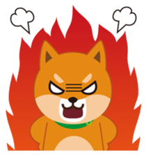 Shiba Inu "Musashi"(English) sticker #1065272