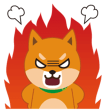 Shiba Inu "Musashi"(English) sticker #1065272