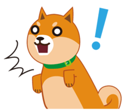 Shiba Inu "Musashi"(English) sticker #1065273