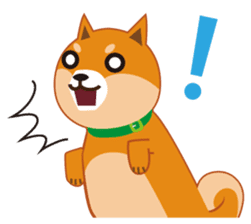 Shiba Inu "Musashi"(English) sticker #1065273