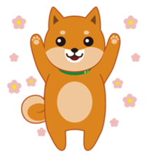Shiba Inu "Musashi"(English) sticker #1065276