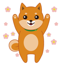 Shiba Inu "Musashi"(English) sticker #1065276