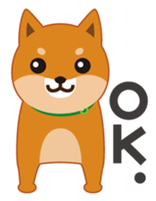Shiba Inu "Musashi"(English) sticker #1065277