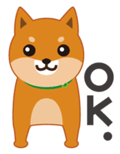 Shiba Inu "Musashi"(English) sticker #1065277