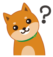 Shiba Inu "Musashi"(English) sticker #1065278