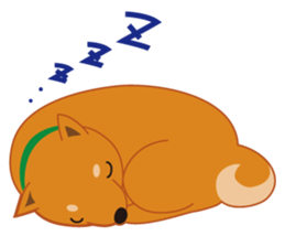 Shiba Inu "Musashi"(English) sticker #1065279