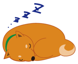 Shiba Inu "Musashi"(English) sticker #1065279