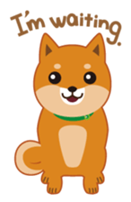 Shiba Inu "Musashi"(English) sticker #1065285