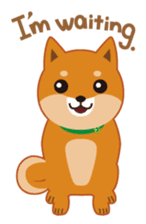 Shiba Inu "Musashi"(English) sticker #1065285