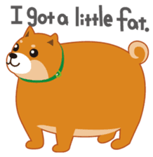 Shiba Inu "Musashi"(English) sticker #1065286