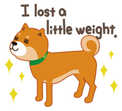 Shiba Inu "Musashi"(English) sticker #1065287