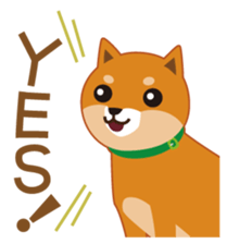 Shiba Inu "Musashi"(English) sticker #1065289