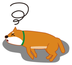 Shiba Inu "Musashi"(English) sticker #1065291