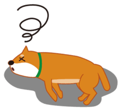 Shiba Inu "Musashi"(English) sticker #1065291