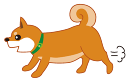 Shiba Inu "Musashi"(English) sticker #1065293