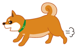 Shiba Inu "Musashi"(English) sticker #1065293