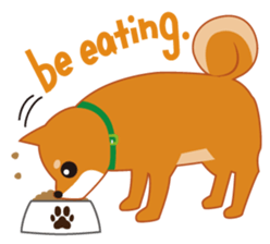 Shiba Inu "Musashi"(English) sticker #1065294