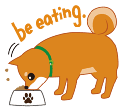 Shiba Inu "Musashi"(English) sticker #1065294
