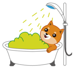 Shiba Inu "Musashi"(English) sticker #1065295