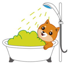 Shiba Inu "Musashi"(English) sticker #1065295
