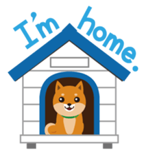 Shiba Inu "Musashi"(English) sticker #1065297