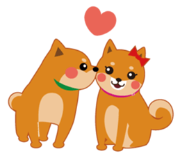 Shiba Inu "Musashi"(English) sticker #1065298