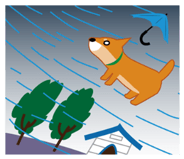 Shiba Inu "Musashi"(English) sticker #1065304