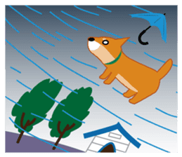 Shiba Inu "Musashi"(English) sticker #1065304