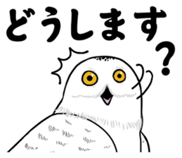 Fluffy full course 2 sticker #1065922