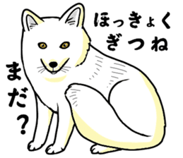 Fluffy full course 2 sticker #1065924