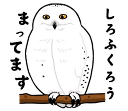 Fluffy full course 2 sticker #1065925