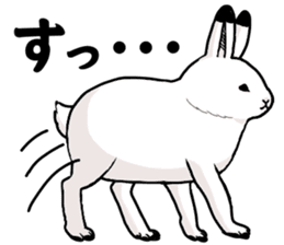 Fluffy full course 2 sticker #1065927