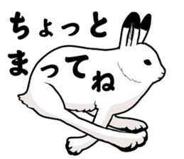 Fluffy full course 2 sticker #1065928