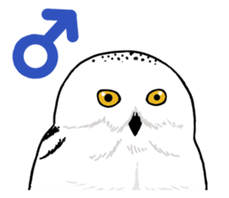 Fluffy full course 2 sticker #1065936