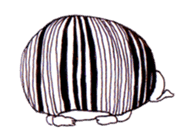 My name is aco! sticker #1067192