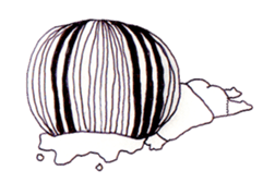 My name is aco! sticker #1067208