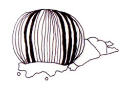 My name is aco! sticker #1067208